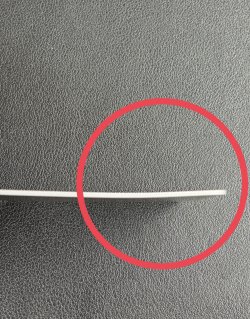 画像5: ※傷有り品（返品交換対象外）【UR】森カリオペ