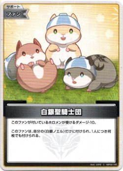 画像1: 白銀聖騎士団