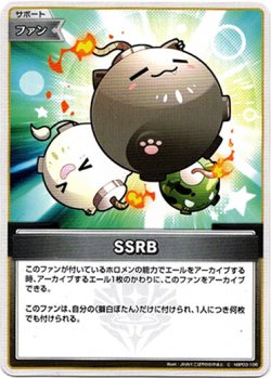 画像1: SSRB