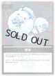 【S】雪民
