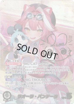 画像1: 【SEC】ラオーラ・パンテーラ