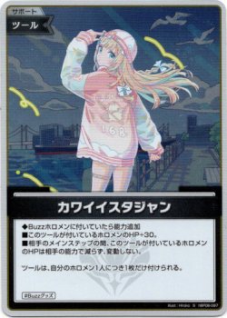 画像1: 【S】カワイイスタジャン