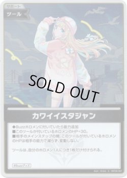 画像1: 【S】カワイイスタジャン