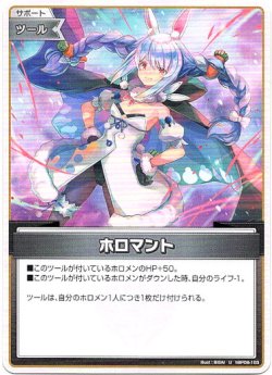 画像1: ホロマント