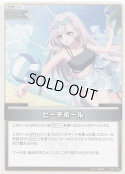 画像1: ビーチボール
