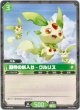 期待の新入り - クルリス