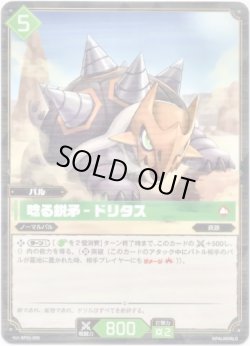 画像1: 唸る鋭矛 - ドリタス