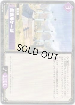画像1: 鑑賞用ケージ