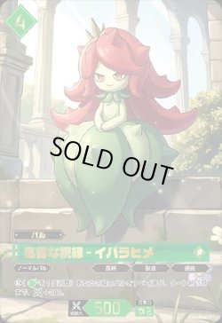 画像1: 【SP】高貴な視線 - イバラヒメ
