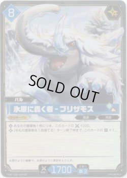画像1: 【TSR】氷原に轟く者 - ブリザモス