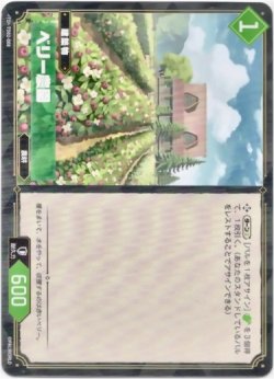 画像1: ベリー農園