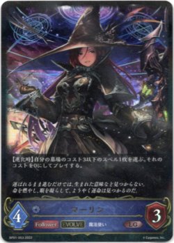 画像1: 【EVOLVE】マーリン