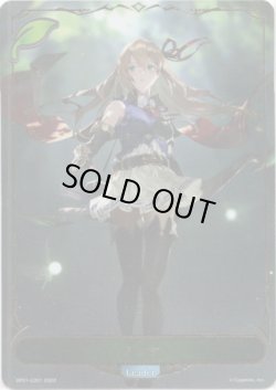 画像1: ※傷有り品（返品交換対象外）【リーダー】アリサ