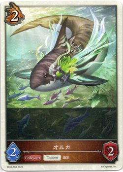 画像1: 【ドラゴン】オルカ