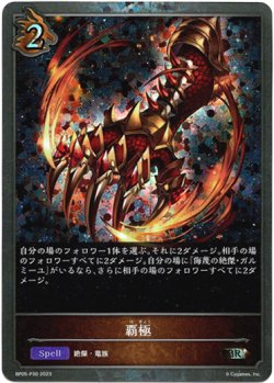 画像1: 【プレミアム】覇極