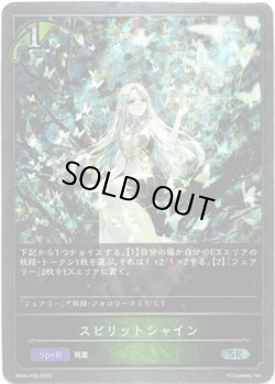 画像1: 【プレミアム】スピリットシャイン