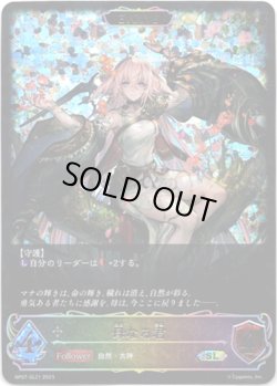 画像1: 【スーパーレジェンド】【EVOLVE】母なる君