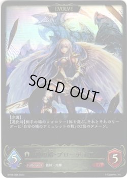 画像1: 【EVOLVE】神の盾・ブローディア