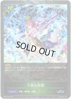 画像1: 【プレミアム】万象の加護