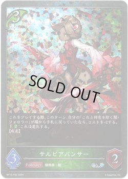 画像1: 【プレミアム】サルビアパンサー