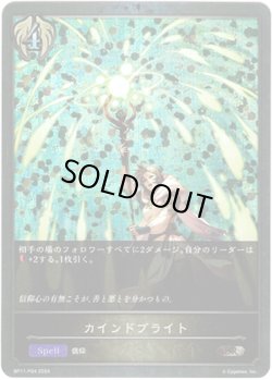 画像1: 【プレミアム】カインドブライト