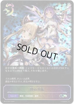 画像1: 【スーパーレジェンド】絆の共振