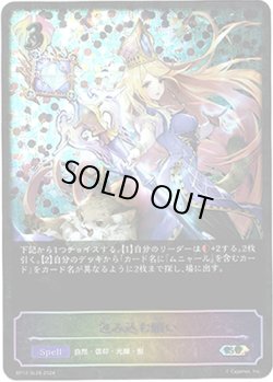 画像1: 【スーパーレジェンド】包み込む願い