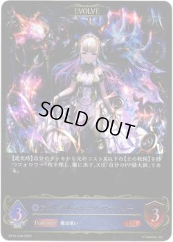 画像1: ※傷有り品（返品交換対象外）【EVOLVE】アストラルシャーマン・ライリー