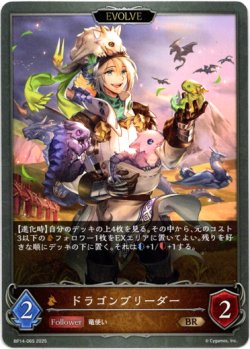 画像1: 【EVOLVE】ドラゴンブリーダー