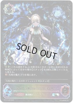 画像1: ※傷有り品（返品交換対象外）【スーパーレジェンド】アストラルシャーマン・ライリー