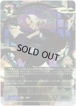 画像1: 【アルティメット】底無しの契約