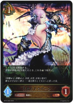 画像1: 天威のドラグーン