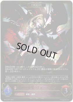 画像1: ※傷有り品（返品交換対象外）【EVOLVE】愛絶の欲望・ヴァーナレク