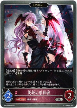 画像1: 【EVOLVE】愛絶の崇拝者