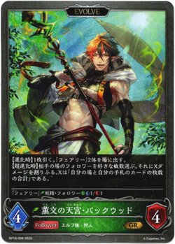 画像1: 【EVOLVE】薫交の天宮・バックウッド