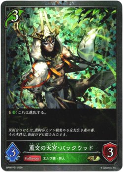 画像1: 【プレミアム】薫交の天宮・バックウッド