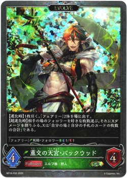 画像1: 【プレミアム】【EVOLVE】薫交の天宮・バックウッド