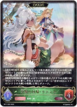 画像1: 【EVOLVE】万緑の回帰・ラティカ