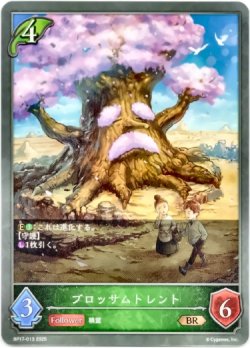 画像1: ブロッサムトレント