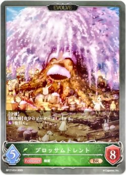画像1: 【EVOLVE】ブロッサムトレント