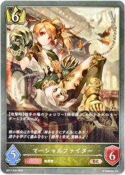 画像1: マーシャルファイター