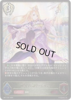 画像1: ※傷有り品（返品交換対象外）贖罪の司祭・イリス