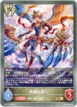 画像1: 鉄鋼の翼人