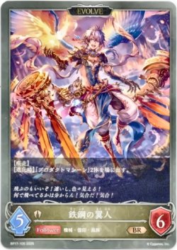 画像1: 【EVOLVE】鉄鋼の翼人