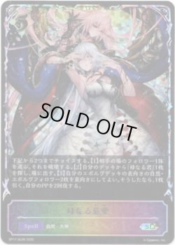 画像1: ※傷有り品（返品交換対象外）【スーパーレジェンド】母なる慈愛