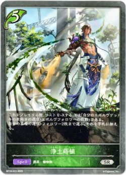 画像1: 浄土蒔植