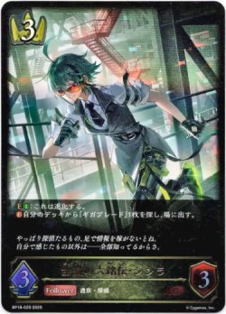 画像1: ※傷有り品（返品交換対象外）全識の六銘伝・シンラ