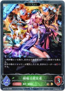 画像1: 【プレミアム】【EVOLVE】樹権の剪定者