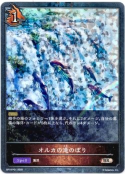 画像1: 【プレミアム】オルカの滝のぼり