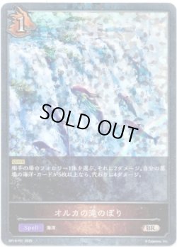 画像1: 【プレミアム】オルカの滝のぼり